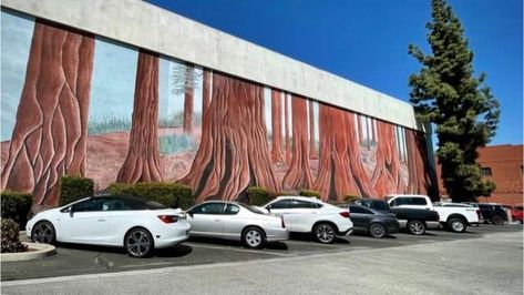 What to do in Visalia, CA | 2024 List & Photos General Sherman Tree, 2024 List, Visalia California, Tulare County, San Joaquin Valley, Sequoia Tree, Farm Tour, Kings Canyon, Sequoia National Park