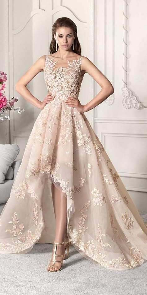 high low wedding dresses illusion neckline lace floral appliques blush demetrios. See more: https://www.weddingforward.com/high-low-wedding-dresses/ #weddingforward #bride #bridalgowb #highlowweddingdresses Demetrios Wedding Dress, Demetrios Bridal, Illusion Neckline Wedding Dress, Wedding Dresses High Low, High Low Gown, Illusion Dress, Illusion Neckline, Beauty Dress, فستان سهرة