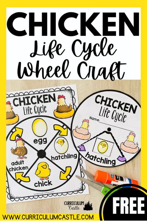 Life Cycle Of A Chicken Kindergarten, Chicken Science Preschool, Lifecycle Of A Chicken Preschool, Life Cycle Of A Bird Craft, Life Cycles Activities For Preschoolers, Chicken Life Cycle Kindergarten, Life Cycle Of Chicken Preschool, Lifecycle Of A Chicken Craft, Chicken Life Cycle Craft Preschool