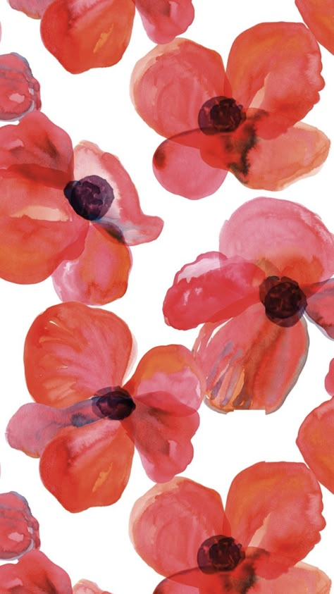 Poppy Flower Background, Poppy Flower Aesthetic Wallpaper, Poppy Wallpaper Iphone, Poppy Flower Aesthetic, Red Flowers Background, Poppy Flower Wallpaper, Poppy Background, Poppy Watercolor, Poppy Wallpaper