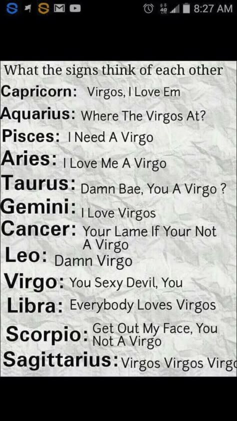 I'm not a Virgo but I had to pin because it is hilarious! I'm actually an Aquarius How Virgo Sees The Other Signs, Virgo Turn Ons And Offs, Sagittarius X Virgo, Virgo Crush, Virgos Be Like, Virgo X Scorpio, Funny Love Quotes For Husband, Love Quotes For Husband, All About Virgo