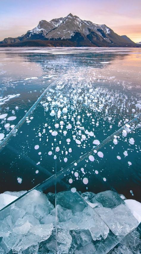 Canadian Landscapes | Stunning frozen methane bubbles at Abraham Lake, CANADA | Facebook Methane Bubbles, Frozen Lake Aesthetic, Frozen River, Emerald Lake Canada Winter, Frozen Lake Photography, Emerald Lake Canada, Abraham Lake, Frozen, Bubbles