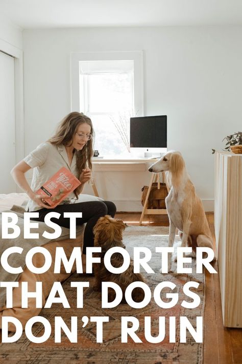 Dog Friendly Bedroom Comforter, Master Bedrooms Decor Dog Friendly, How To Keep Dog Hair Off Bed, Dog Friendly Bedding Ideas, Pet Friendly Bedding Ideas, Pet Friendly Master Bedding, Dog Friendly Master Bedding, Pet Friendly Bedroom Ideas, Dog Friendly Bedding