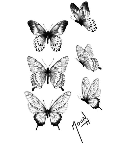 Medium Size Butterfly Tattoo, August Butterfly Tattoo, Butterfly Sketch Tattoo, Simple Cover Up Tattoos, Tattoo Medusa, Drawing Elephant, Realistic Butterfly Tattoo, Borboleta Tattoo, Butterfly Tattoos Images