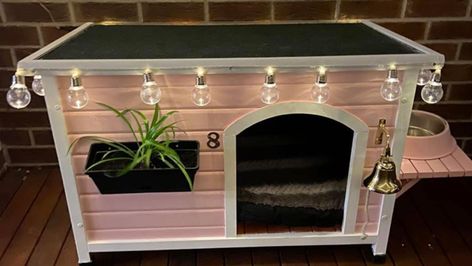 Kmart Australia shoppers show off dog kennel makeovers using cubby houses | 7NEWS.com.au Fancy Dog Houses Indoor, Indoor Dog Houses For Small Dogs, Cool Dog Houses Indoor, Dog House Decoration, Kitty House Diy, Diy Small Dog House, Cute Dog Houses Indoor, Dog Kennel Makeover, Dog House Makeover