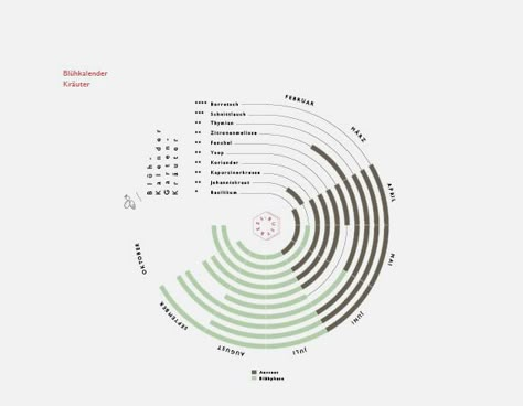 BUSY BEES - BACHELOR THESIS on Behance Bar Charts Data Visualization, Busy Bees, Bee Diagram, Data Map, Design Presentation, Infographic Design Layout, Infographic Illustration, Data Design, Data Visualization Design