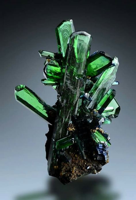 Vivianite Minerals Crystals Rocks, Geology Rocks, Rock Minerals, Crystal Formations, Cell Regeneration, Pretty Rocks, Cool Rocks, Rocks Crystals, Beautiful Rocks