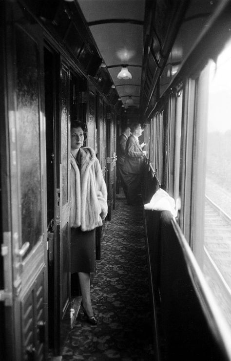 Simplon-Orient Express 1950 Orient Express Train, Simplon Orient Express, The Orient Express, Luxury Train, Orient Express, Time Life, Vintage Train, Life Pictures, Train Tracks