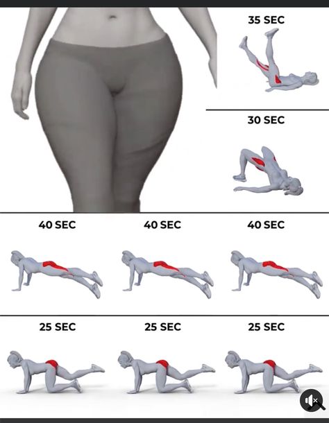 Legs Types Body Shapes, Body Shapes Women, Toning Exercises, Summer Body Workout Plan, Small Waist Workout, Full Body Workouts, Hiit Workout At Home, Month Workout, Workout Routines For Beginners