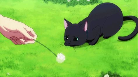 Gifs Anime, Animated Banners, Aesthetic Gifs, Uta No Prince Sama, Banner Gif, Discord Banner, Cute Cat Gif, Cute Doodle Art, Anime Animals