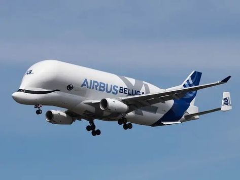 Airbus is creating a new airline using its Beluga 'Super Transporter' fleet to carry oversized cargo Beluga Airbus, Airbus Beluga, Plane Sticker, Airbus A330, Helicopter, Aircraft, Tattoos, Quick Saves