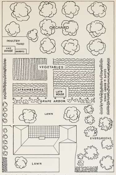 These real, tiny homestead layout plans show that with smart homestead planning techniques, self-sufficiency can be achieved even on a small lot. #homesteadlayout #backyard #smallspaces #primalsurvivor Homestead Layout, Acre Homestead, Farm Plans, Farm Layout, Homestead Farm, Homestead Gardens, Garden Plan, Mini Farm, Urban Homesteading