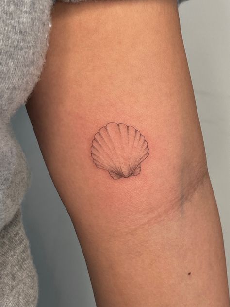 Cat Paw Tattoo Minimalist, Scallop Seashell Tattoo, Mussel Shell Tattoo, Fineline Shell Tattoo, Camino Shell Tattoo, Cape Cod Tattoo, Scallop Tattoo, Tiny Shell Tattoo, She’ll Tattoo