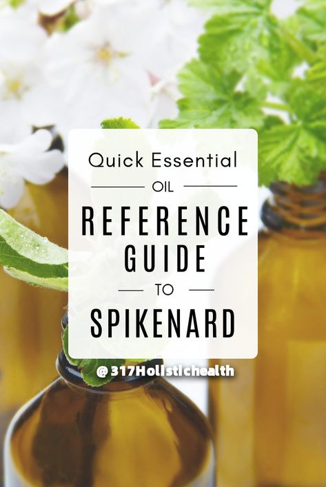 Spikenard Essential Oil, Oil Substitute, Essential Oils Guide, Essential Oils Health, Essential Oil Benefits, Oil Benefits, Oil Uses, Apothecary, Have You Ever