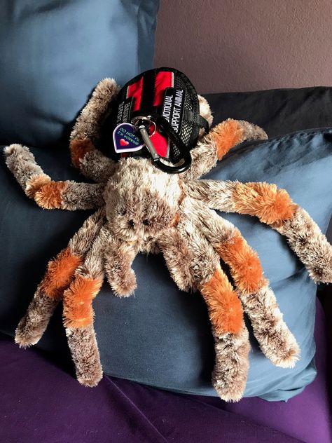 Hand Embroidery Plush Eyes, Emotional Support Plush, Essa Stuffed Dogs, Bug Stuffed Animals, Essa Stuffed Animal, Emotional Support Stuffed Animals, Scary Stuffed Animals, Spider Plushie, Weird Stuffed Animals