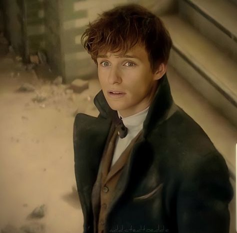 Newt Scamander Icon, Scamander Aesthetic, Newt Scamander Aesthetic, Newt Salamander, Fit Guys, Kin List, Newt Scamander, Eddie Redmayne, Fantastic Beasts And Where