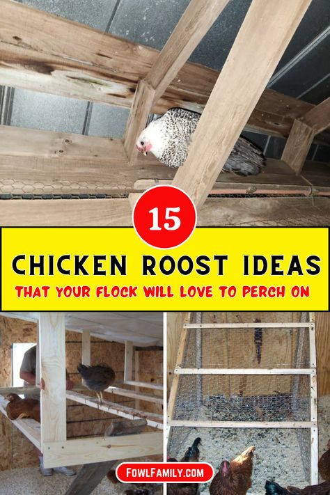 Chicken roost ideas your flock will adore! Build sturdy perches using natural wood for comfort and safety. Experiment with multi-level designs and roosting bars to fit any coop size. Learn placement tips to maximize airflow and cleanliness. Your hens will stay happy and healthy with these thoughtful roosting solutions. Diy Perch For Chickens, Chicken Droppings Catcher, Easy Roosting Bars, Chicken Coop Roosting Ideas Diy, Chicken Run Roost Ideas, Roosting Bar Ideas, Chicken Coop Organization Ideas, Chicken Roosting Ideas, Chicken Coop Roosting Ideas