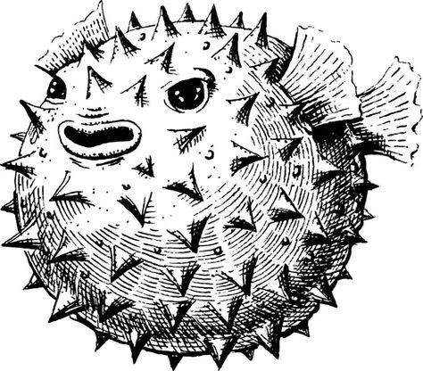 Puffer Fish Drawing, Fish Line Drawing, Fish Illustrations, Fish Drawing, Fish Vector, Cartoon Fish, Puffer Fish, Fish Drawings, Wood Cut