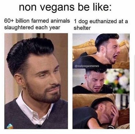 Vegetarian Memes, Vegan Family Dinner, Vegan Meme, Vegan Jokes, Vegan Facts, Vegan Memes, Animal Activism, Animal Agriculture, Vegan Quotes