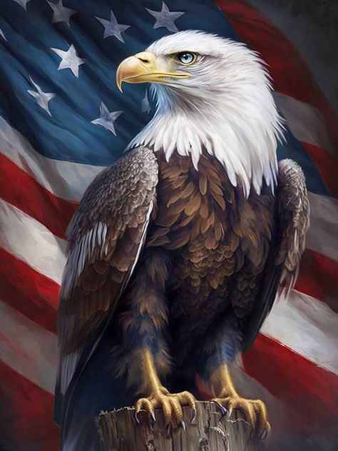 Amazon.com: Bimkole 5D Diamond Painting Kits for Adults Flag Eagle, Full Drill Animal DIY Rhinestone Embroidery Set Paint with Diamonds Art by Number Kits Cross Stitch Home Wall Craft Decoration 12X16 inch : Arts, Crafts & Sewing Bald Eagle Art, American Flag Painting, Eagle Artwork, Cross Stitch Home, July Images, Patriotic Images, Eagle Painting, American Flag Wallpaper, Rhinestone Embroidery