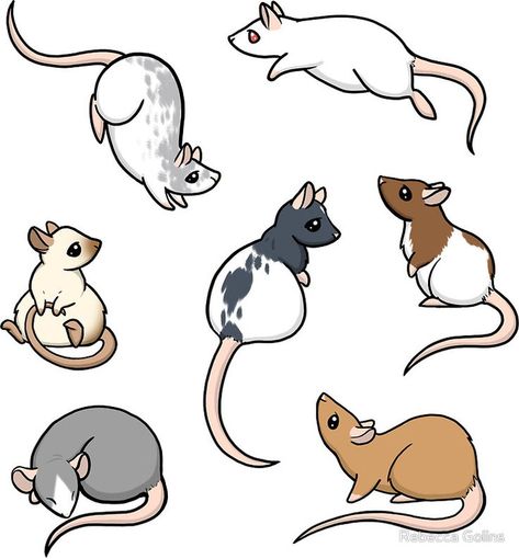 Who doesn't love a cute rat? Cute Rats Drawing, Rebecca Golins, Rat Drawn Cute, Cute Rat Drawings, Dragons And Beasties, Cartoon Rat, Rat Art, Creation Art, Cute Rats