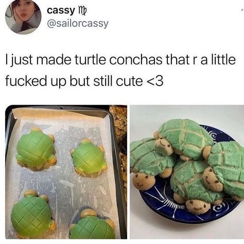 Danu Lakin on Instagram: “These are so cute! I need a dozen 🤤 Who else loves conchas? • #turtle #turtles #conchas #dessert #dessertslover #treats #cutememes…” Self Conchas, Twitter Memes, Cute Memes, Turtles, So Cute, No Instagram, Good Food, Dessert, Memes