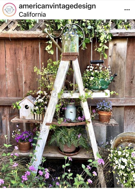 Farm Country Decor, Ladders In The Garden, Garden Ladder Ideas, Ladder Planter, Garden Ladder, Old Ladder, Garden Decor Diy, Vintage Garden Decor, Garden Decor Ideas