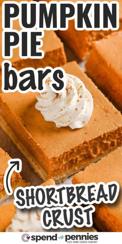 Pumpkin Pie Bars Pumpkin Snacks, Pumpkin Bars Recipe, Slab Pies, Pumpkin Pie Bars Recipe, Pumpkin Squares, Pumpkin Pie Bars, Easy Pumpkin Pie, Spend With Pennies, Pumpkin Bars