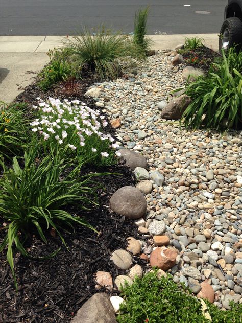 Riverbed Landscaping, Mulch Landscaping Ideas, Mulch Landscaping Ideas Diy, Backyard Rock Garden, Xeriscape Front Yard, Landscape Ideas Front Yard Curb Appeal, Gravel Landscaping, Mulch Landscaping, Side Yard Landscaping