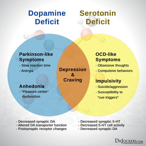 Epinephrine Vs Norepinephrine, High Dopamine Levels, Dopamine Enhancers, Low Serotonin, Dopamine Boost, Reflective Journaling, Dr Jockers, Psychology Notes, Cells Activity