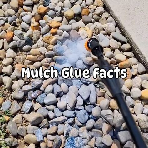 Check out #MulchGlueMax #MulchGlue today! There’s only ONE Mulch Glue, the rest are imitations. Tap link in bio. 📣🔥 #PetraSpringDaySale… | Instagram Mulch Glue Recipe, Diy Mulch Glue Recipe, Mulch Glue, Spray Glue, Elmer's Glue, Add To Cart, Mulch, Spring Day, Homemade Recipes