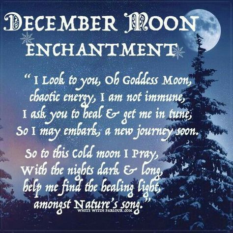 December Moon, December Full Moon, The White Witch, Cold Moon, Moon Spells, Moon Quotes, Full Moon Ritual, Keyword Tool, Moon Witch