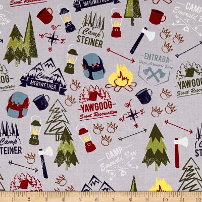 Disney Quilt, Weekend Camping, Weekend Camping Trip, Flannel Quilts, Pop Up Camper, Fabric Pictures, Boy Scouts Of America, Camping Theme, Home Decor Accents