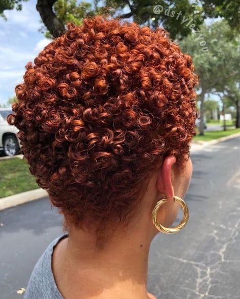 Tapered Hairstyles, Big Chop Natural Hair, Short Dyed Hair, Cabello Afro Natural, Honey Blond, Short Natural Curly Hair, Twa Hairstyles, Tapered Natural Hair, Natural Hair Cuts