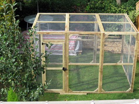 Aviaries4U Parakeet Aviary, Bird Aviary For Sale, Aviary Ideas, How To Build Abs, Animal Enclosures, Bird House Kits, Bird Aviary, Parrot Cage, Kinds Of Birds