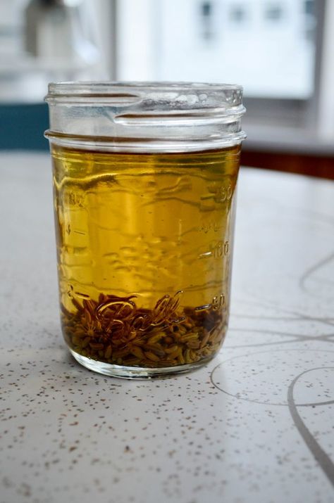 DIY Homemade Anise Extract - In Jennie's Kitchen Anise Extract Recipes, Anise Extract, Diy Extracts, Anise Oil, Vanilla Extract Recipe, Homemade Alcohol, Italian Cookie, Canning Food, Homemade Vanilla Extract