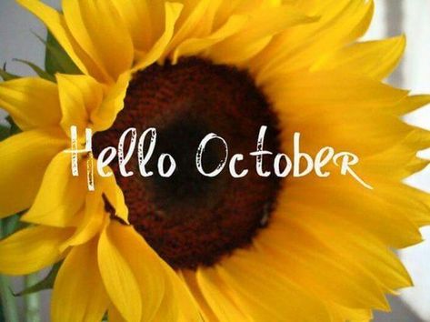 Hello September Quotes, Hello October Images, October Images, October Pictures, October Quotes, Seasons Months, October Crafts, Fb Cover Photos, Hello September