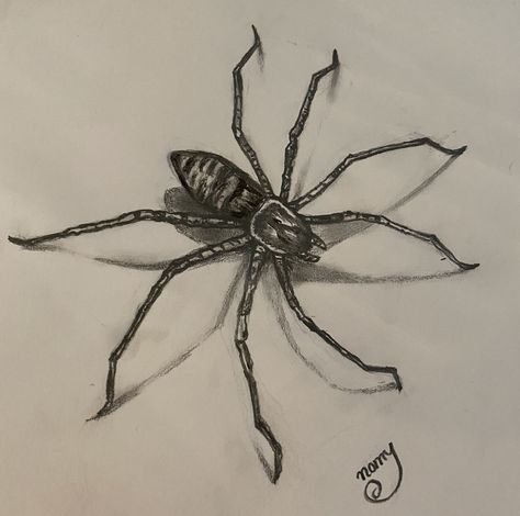 Aesthetic Spider, Web Drawing, Spider Web Drawing, Hanging On By A Thread, Spider Illustration, Amazing Spider, Spider Web, 3d Art, Insects