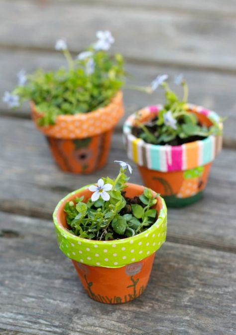 Tiny Terracotta Pot Crafts, Mini Flower Pot Crafts, Fairy Garden Flower Pot, Planter Crafts, Resident Activities, Mini Verse, Fairy Garden Flowers, Diy Flower Boxes, Library Themes