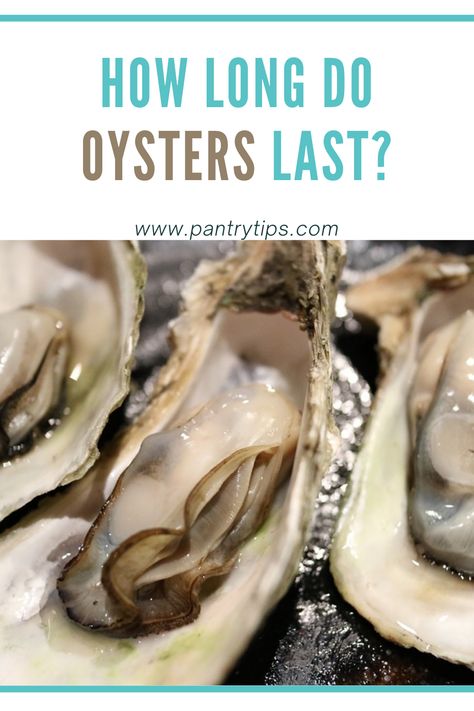 How To Prepare Oysters, How To Shuck An Oyster, Mexican Oysters, Fresh Oyster Recipes, Oyster Recipes No Shell, Mirliton Recipe, Steamed Oysters, Canned Oysters, Scalloped Oysters