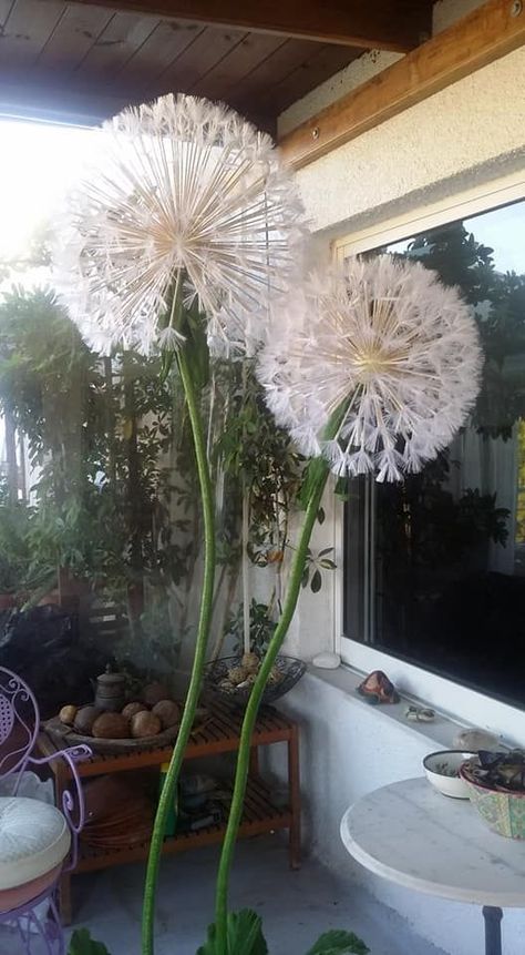 Diy Giant Dandelion Flower, Diy Dandelion Staff, Diy Dandelion Flower, Giant Dandelion Diy, Dandelion Costume, Giant Dandelion, Sensory Ideas, Ren Fair, Fairy Garden Decor