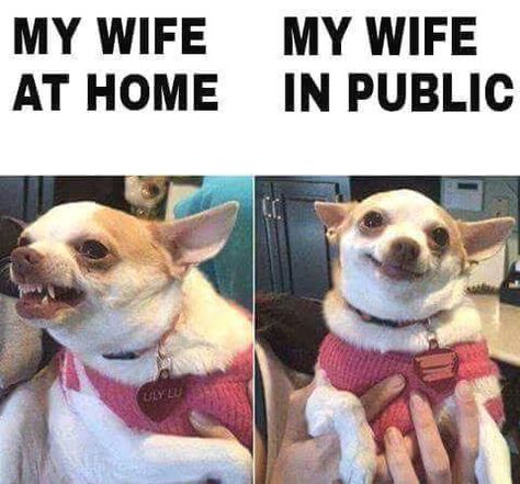 My wife at home vs My wife in public. Mom Memes, Memes Of The Day, Funny Dog Memes, Christian Memes, Memes Humor, Funny Animal Memes, Dog Memes, Animal Memes, Bts Memes