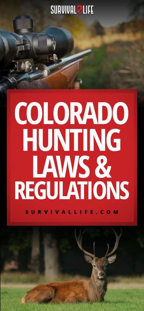 Check out Colorado Hunting Laws and Regulations at https://survivallife.com/colorado-hunting-laws-regulations/ Colorado Elk Hunting Tips, Colorado Hunting, Youth Hunting, Lion Hunting, Deer Hunting Season, Hunting Guide, Shtf Preparedness, Crossbow Hunting, Deer Hunting Memes