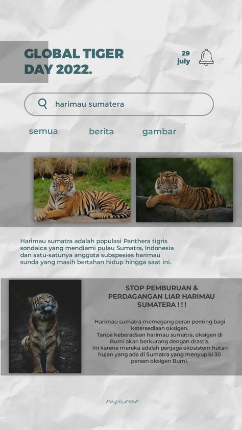 Peringatan hari harimau sedunia yang di isi dengan artikel tentang harimau sumatra Tiger Day