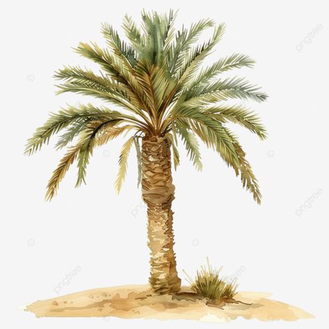 watercolor palm tree in the desert watercolor drawing palm tree png Palm Art Drawing, Palm Tree Clipart, Palm Tree Sketch, Palm Tree Watercolor, Desert Watercolor, Watercolor Palm Tree, Palm Tree Png, Palm Tree Drawing, Desert Trees