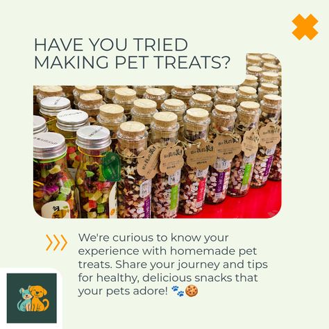 Please don't make this mistake... 

giving your pets unhealthy treats! 🐾 

Discover how to create homemade pet treats that are both healthy and delicious. 🍪 

Not only will your pets love them, but you'll have peace of mind knowing exactly what's in their snacks. 🐶🐱 

Explore our DIY pet care guides & comment if you've tried making your own! 

#PetCare #HomemadeTreats
PetCareCompass Homemade Pet Treats, Homemade Treats, Pet Treats, Diy Stuffed Animals, Have You Tried, Training Tips, Yummy Snacks, Pet Care, Make Your Own