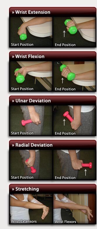 Kinesiology Aesthetic, Wrist Workout, Workout Arms, Adaptive Tools, Wrist Exercises, Indoor Workout, Hand Exercises, Coaching Volleyball, Yoga Iyengar