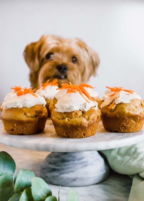 Peanut Butter and Carrot Cupcakes for Dogs Carrot Dog Cake, Dog Treats With Peanut Butter, Cupcakes For Dogs, Treats With Peanut Butter, Carrots And Peanut Butter, Dog Birthday Cupcakes, Greek Yogurt Toppings, Carrot Dogs, Peanut Butter Yogurt