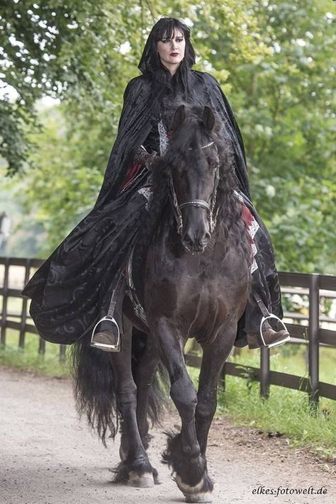 Beautiful Horse Pictures, Friesian Horse, Beautiful Horse, Horse Photos, Pretty Horses, Black Ops, Horse Pictures, Dark Beauty, Horse Girl