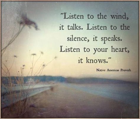 Listen to the wind, it talks. Listen to the silence, it speaks. Listen to your heart, it knows. Listen To The Silence, American Proverbs, Native American Proverb, American Quotes, Listen To Your Heart, Native American Wisdom, Native American Quotes, Quotable Quotes, A Quote